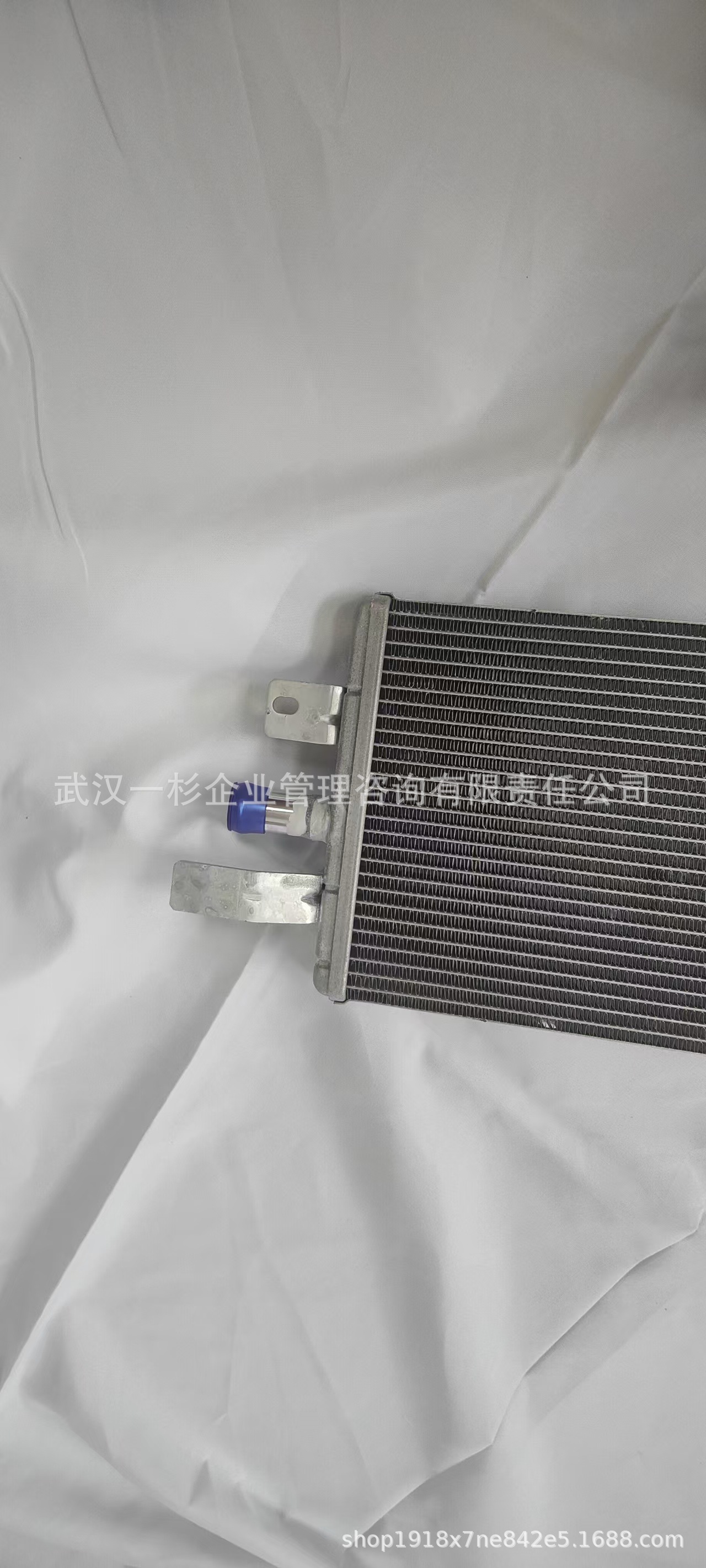 Direct sales from the original manufacturer B100006560 B016691 motor radiator for Yixuan MAX/Haoji