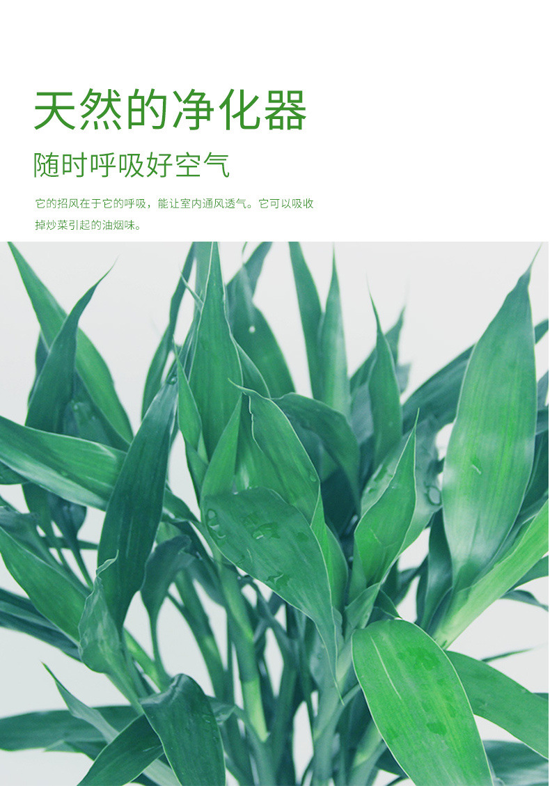 edd6825f-21a3-431a-af2e-e6384764d675.jpe