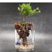 ���Ҹ��u��С���~�̦�\ˮ��Gֲ΢���^�辰ֲ�ﻨ���ļ����B����