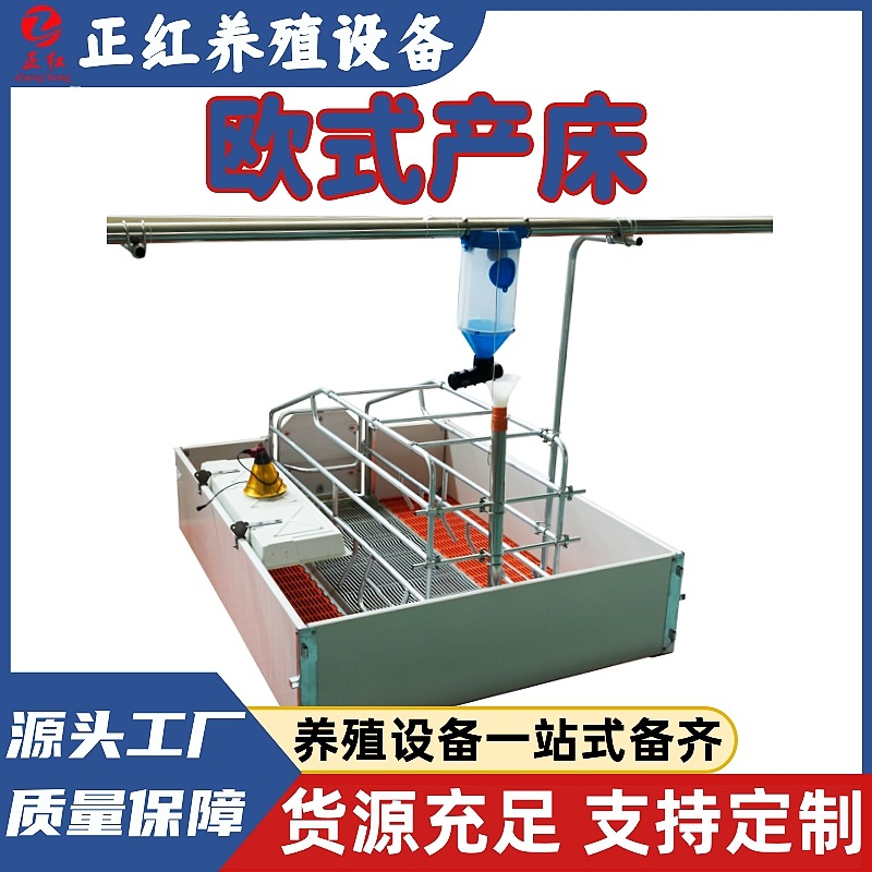 养殖场养猪器械保育床保温灯干料筒定位栏欧式产床育肥食槽尾款