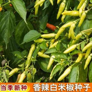 С�������ݽ��N�ӳ��콷���������N�Ѵ������ļ����߲˹Ϲ��N�Ѵ�