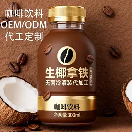 果蔬汁;含乳饮料;其他软饮料