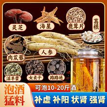 99味泡酒材料 关节 肩周颈椎锁阳泡酒专用药材套餐男士高端黄芪