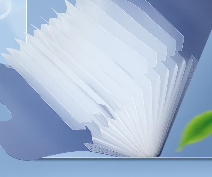 Multi-Layer Portable Student Test Paper Folder Paper Storage Bag Subject Classification Organ Bag Junior High School Student Folder Bag Durable