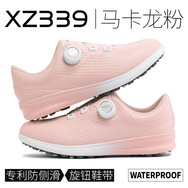 XZ339 마카롱 분말