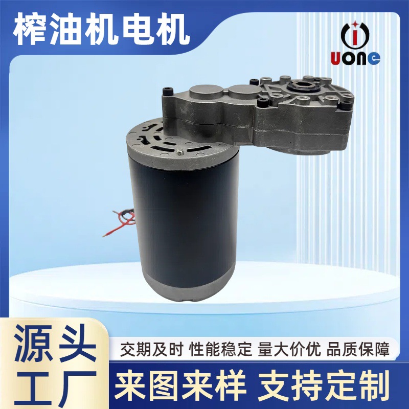 D90榨油机电机220V直流电机减速马达家用智能静音微型电机