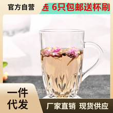 W1TR批发透明玻璃杯子家用6只装带把花茶水杯办公室耐热泡茶