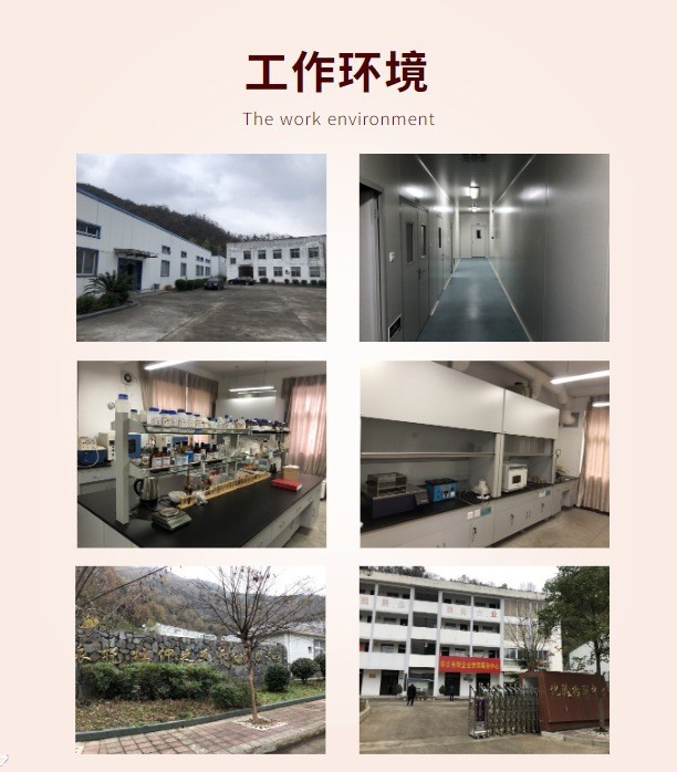 23172025393_195015033