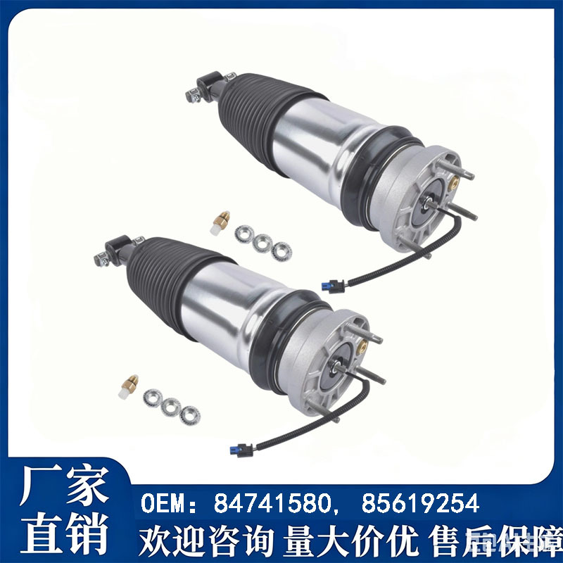 84741580/85619254/85619249/22358405/23150192 Shock Absorbers Factory Stock