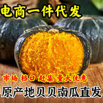 山东正宗贝贝南瓜电商一件代发 板栗新鲜日本瓜批发礼盒装供应链