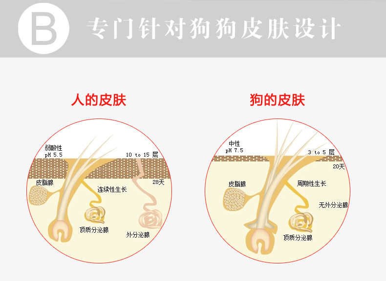 TB23QmVcFXXXXaHXXXXXXXXXXXX-24