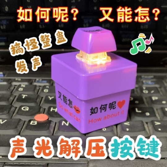Douyinと同じ回答、おもちゃの引用、発音、発光キーホルダー、減圧ボタンおもちゃ、友達への楽しいプレゼント|undefined