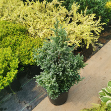 �{ɫ�������{ɫϵ�����{����ֲ���{ɫ�}�Q���̨ͥԺ�����͟��ͺ�