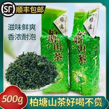 包邮惠州茶叶博罗柏塘山茶 广东十大名茶浓香型清香明前绿茶龙井