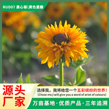 ͺ͟ẵ׻÷N޸ܺľշNӽջl岥