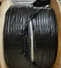���С���y�~���������֘�סլ��̖��ݔͬ�Sú�V��15/8й©��|
