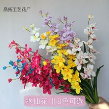 ����2��ˮ�ɻ� �ٺ� �ߙn�ҾӾƵ�[�����յ��߻�Y�b������l