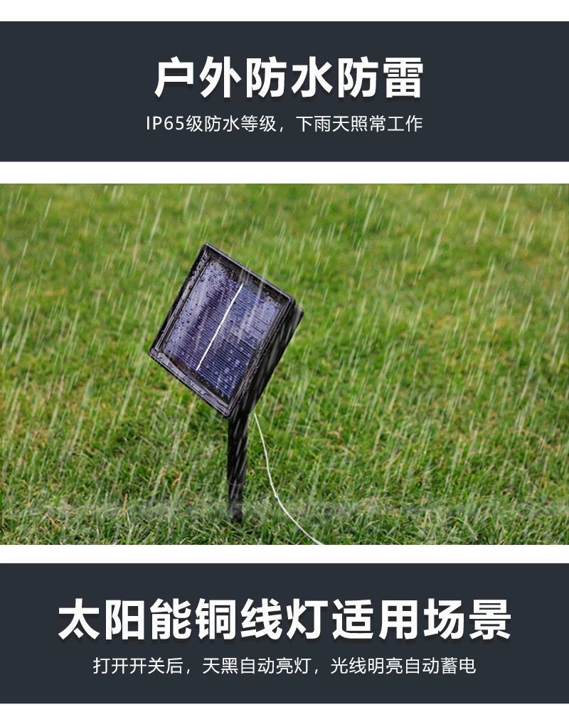 2f7c2946-ca2b-4ceb-b432-ed30b8f030b9.jpe