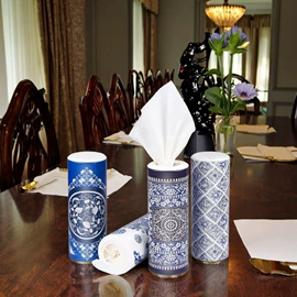 餐巾纸;一次性碗碟;卫生纸/卷纸