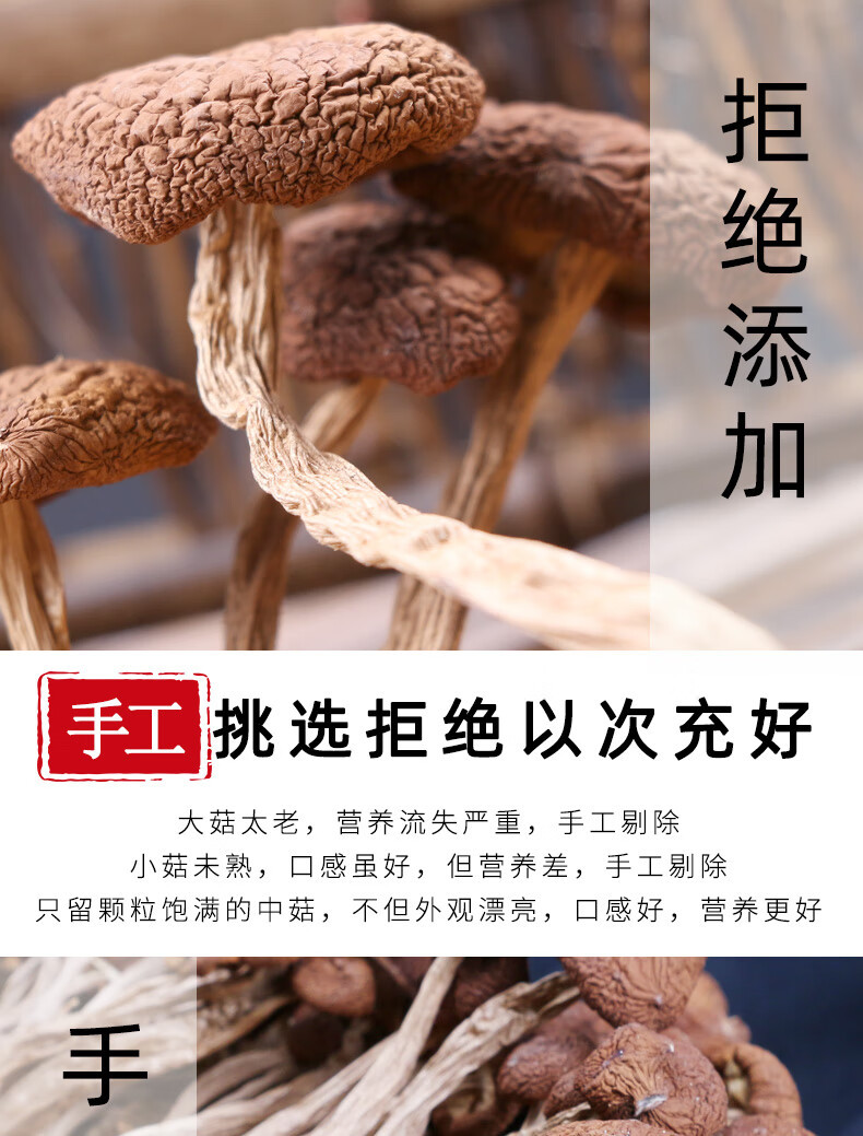 Dried Tea Tree Mushroom Cha Shu Gu Agrocybe cylindracea Whole Dried Mushrooms for Soup and Hot Pot quality and texture