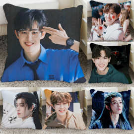 田嘉瑞周边抱枕双面制作云之羽宫远徵同款图片diy沙发靠枕靠垫