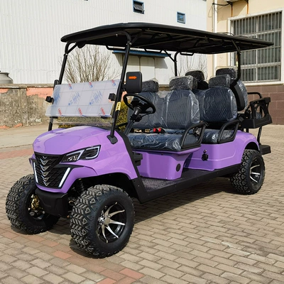 Electric Golf Sightseeing Car, Golf Elektrikli qolf avtomobilləri