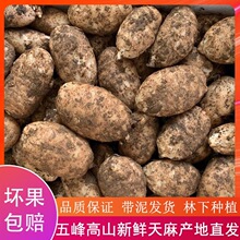 �F؛�F؛���������ͨС�݉η�Ұ��������Y�ЬF�ڬF�l���r���ٰl