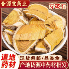 穿破石中药材 拓木根地锦根500g 穿破石代打粉各种冷背药材批发