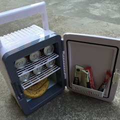 Car Mini Refrigerator Dual-Purpose for Home and Car, 10L, Gift Wholesale