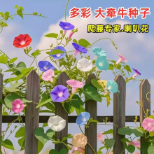 ��ţ���N�����Ȼ����������������ܻ�ɫ�_�����������׻�N�N��