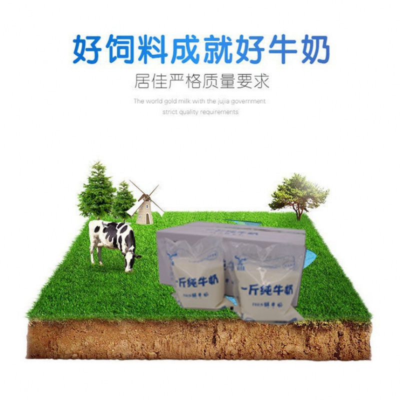 【新発売】0.5kg 純乳 500g*10袋 生乳 栄養純乳 全箱|undefined