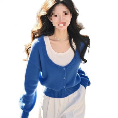 美拉蓝假两件针织衫软糯毛衣女2025新款春季穿搭硫酸铜高级感上衣