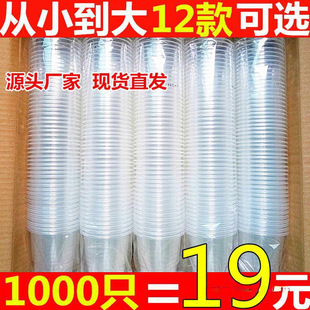 Factory Direct Sales Disposable Cup Plastic Water Cup Thickened Household Plastic Cup Transparent Cup Tasting Small Cup