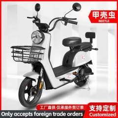 メーカーはビートル二輪電気自動車、軽量二人乗りバッテリーカー、新しい大人用電動アシスト自転車に特化しています。