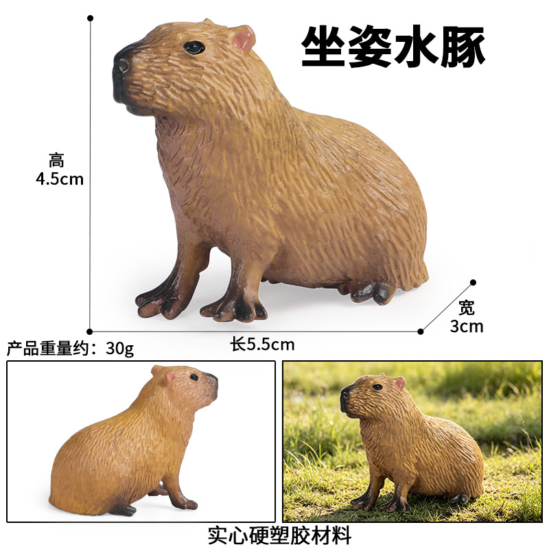 2329 Capibara sentado (Capybara)