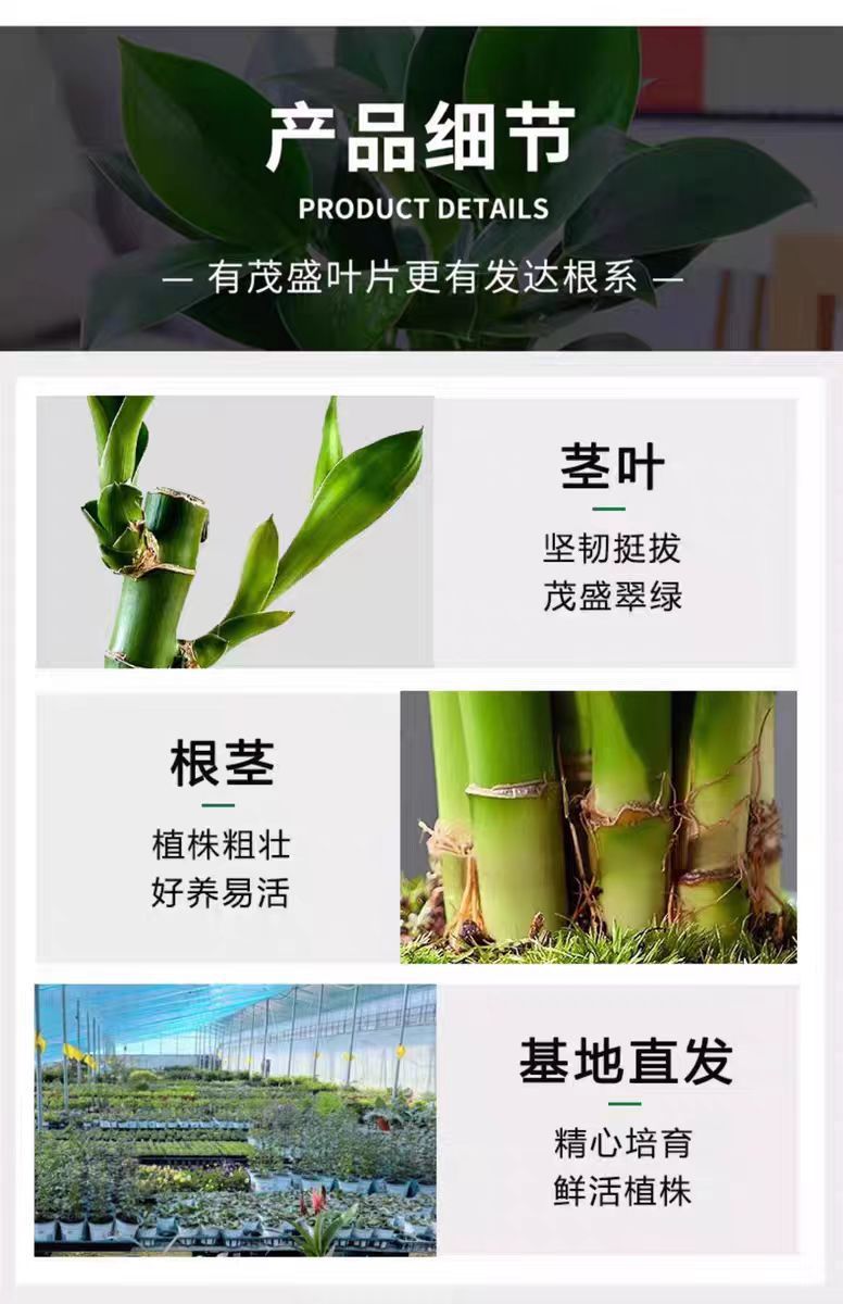 fd47bbb1-c5a9-4da1-b0fa-aa5e6e60b02e.jpe