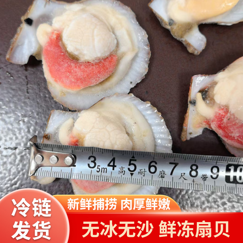 新鲜超大扇贝肉冷冻水产即食大号扇贝肉带黄无沙鲜冻扇贝肉