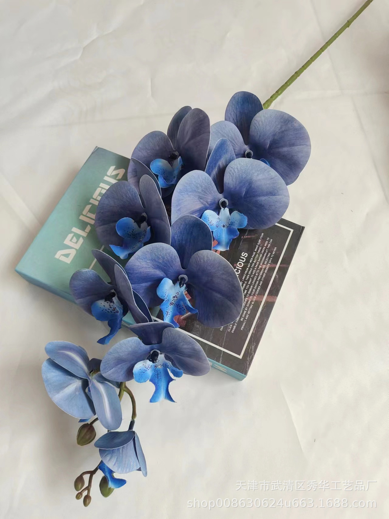 3D蝴蝶兰琉璃蓝