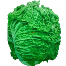 ߮a偰ײ˷N~o߮aļ~˷NӰbSC