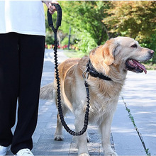 防爆冲遛狗绳狗链子牵狗绳金毛中型大型犬边牧狗狗弹力伸缩牵引绳