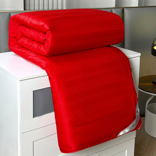 Wedding Silk Quilt 100% Mulberry Silk Winter Quilt with Thick Padding Warm Cover Comforter Core Red Happy Quilt Dual-Personal Wedding Dowry