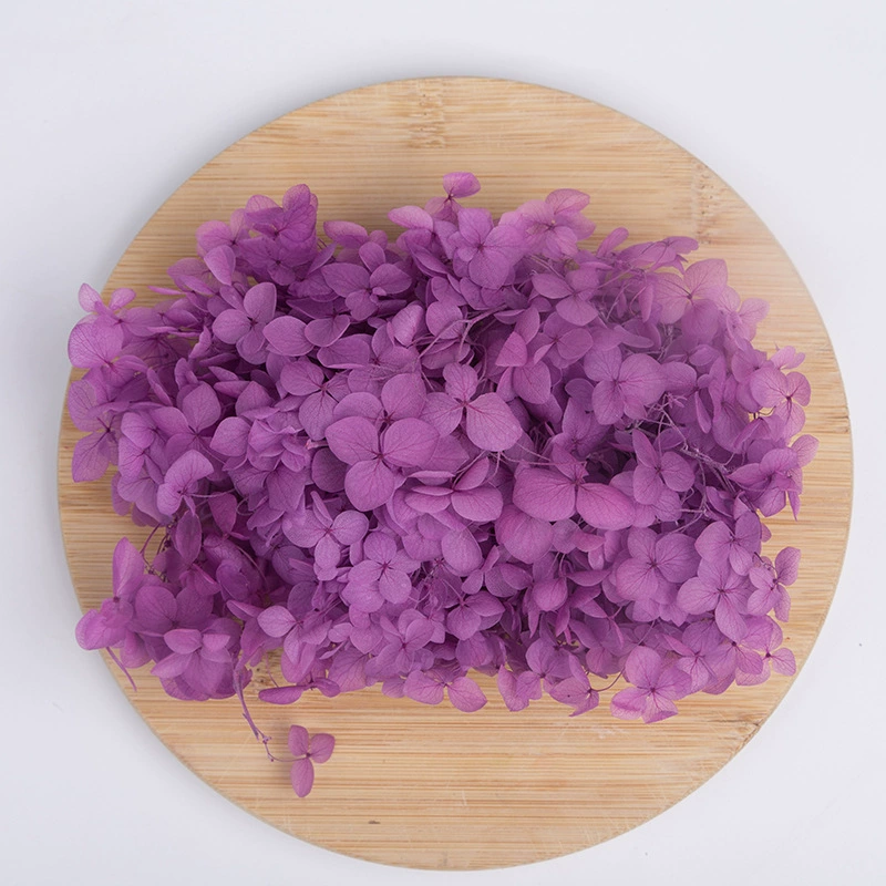 Вечный цветок Сухоцветная коробка Анна Гранди Hydrangea посыпанные лепестки цветов для лица свадьбы оформление Цветочный стиль