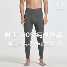 100%纯棉秋裤男士全棉打底衬裤秋冬季保暖裤男款棉毛裤男式棉裤