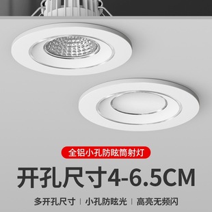 Small Downlight 35 Opening 44.5 5 5.5 6 cm 45 50 55 Wine Cabinet Hole Light Spotlight