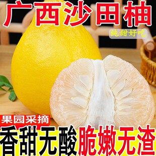 �����ݿhɳ���֏V������o���������ɳ���ּt�����ַ�÷������