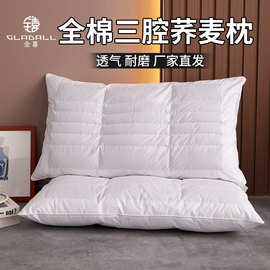 维也纳酒店同款双面枕三腔多功能荞麦枕颈椎睡眠枕头家用成人单人