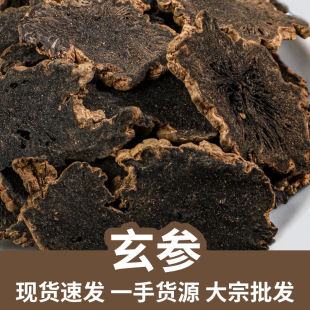 �������l ��؛����Ƭ Ԫ�� �څ� ������ �r�Үa��؛Դ ����ă�