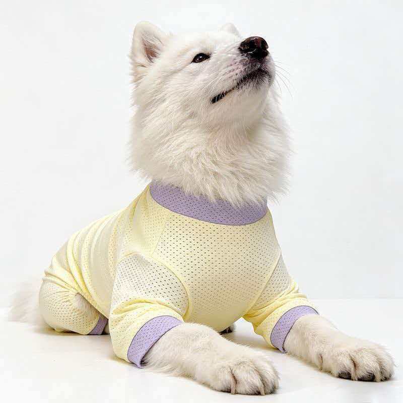 Ropa transpirable de malla para perros de cuatro patas, para perros medianos y grandes, samoyedos, protección solar de verano para perros y mascotas._voghion.com