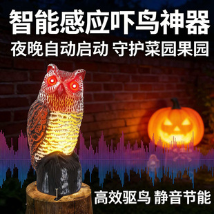���]�羳���� ����ͥԺ������؈�^�� ̫����۾��l��l