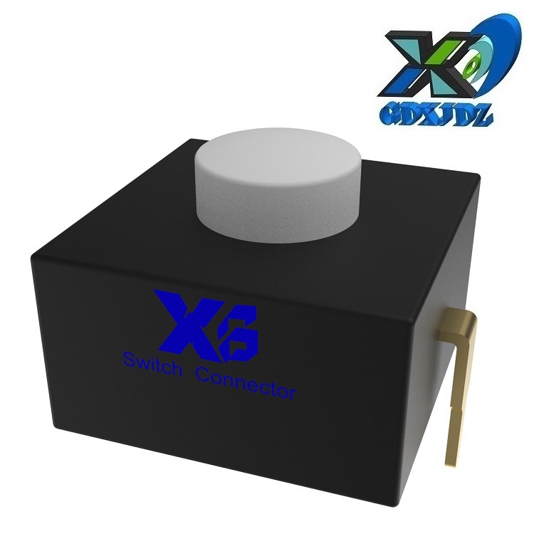 灯具按钮开关方形12*12 电器2脚自锁开关250V AC 供应2档按键开关